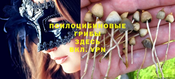 молекула духа Армянск