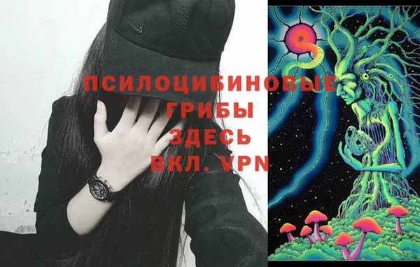 молекула духа Армянск