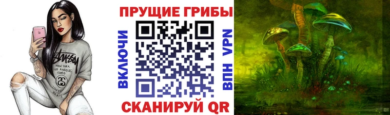 Галлюциногенные грибы прущие грибы  Магас 