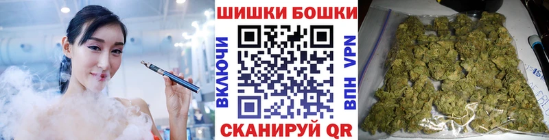 Бошки Шишки планчик  Магас 